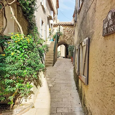 Caesar Domus-4 By Interhome Appartamento Saint-Tropez